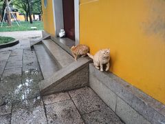 -西园戒幢律寺