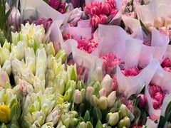 -循礼门鲜花花市(武汉循礼门店)