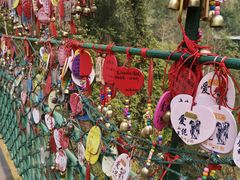 -西双版纳原始森林公园