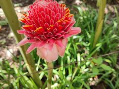 -中国科学院西双版纳热带植物园