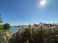 -芒洲湿地公园