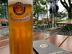 宝莱纳黄啤-宝莱纳餐厅(滨江店)