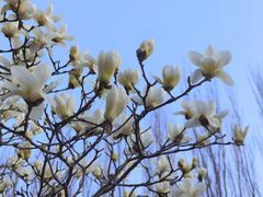 -首都师范大学(良乡校区)