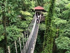-新加坡飞禽公园