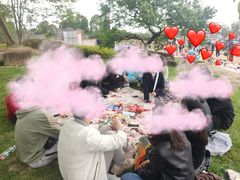 -三圣花乡旅游区