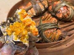 -杨氏青龙虾·羊蝎子(珠江路店)