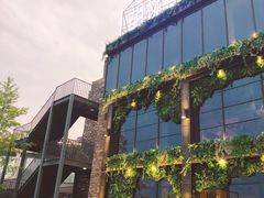 -时光码头民谣公社