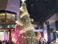 -君悦酒店·La Terrazza意合園·意式风味