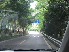 -铁山坪森林公园