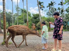 -海南热带野生动植物园