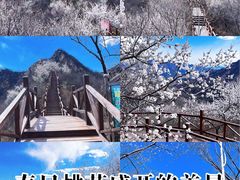 -大岭沟猕猴桃谷风景区