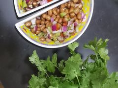 -芦月轩羊蝎子(北蜂窝店)