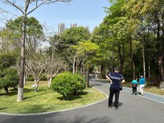 -聚龙山公园
