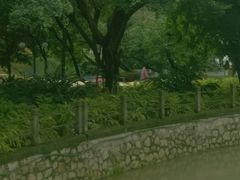 -晓港公园