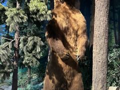 -陕西自然博物馆