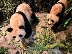 -武汉园博园(武汉自然博物馆)