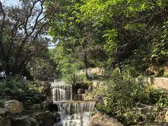 -北京西山国家森林公园