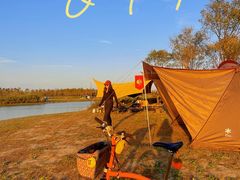 -春花秋色城市公园