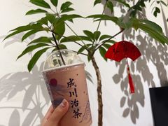 -成川茶店·潮汕工夫浓茶(万象店)