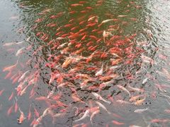 -太白山御龙湾温泉