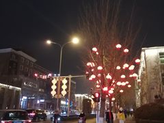 -京北大世界