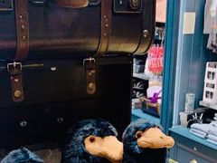 -九又四分之三站台哈利波特商店