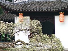 -上海古猗园