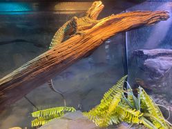 -Zoolung Zoolung动物主题公园(海信广场店)