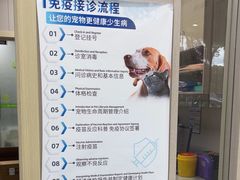 -瑞鹏宠物医院·骨外科·心肾科·肿瘤科(九亭店)