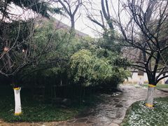 -西安青龙寺遗址景区