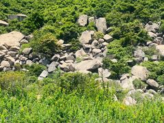 -东澳岛
