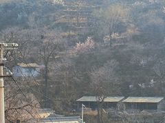 -水峪民俗村