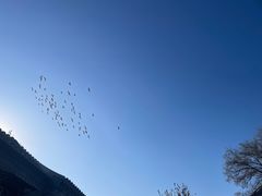 -100家灵感仓库·DIY团建(什刹海店)