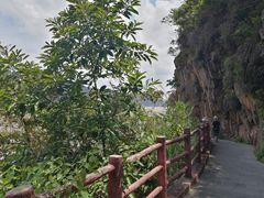 -羚羊峡古栈道森林公园