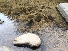 -碓臼峪自然风景区