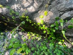 -北京植物园-展览温室