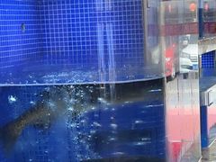 -香山湖渔家大院