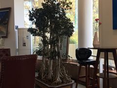 -莫内艺术岛海景咖啡