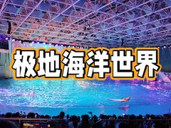 -海合安青岛极地海洋公园