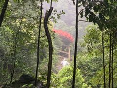 -赤水丹霞旅游区·佛光岩