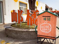 -前小桔亲子创意农场·草莓采摘·露营烧烤