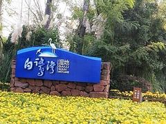 -白鹭湾湿地公园