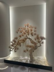 -雅荷悦来双美