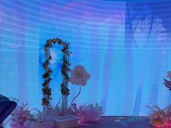 -超级奈尔宝SUPER NEOBIO(杭州星光店)