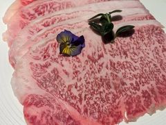 -吉之仙•中国制造•出口级食材日料店(领事馆总店)