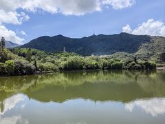 -深圳仙湖植物园