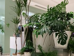 -一尺花园(安和花园店)