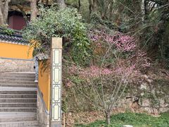 -普陀山风景名胜区-法雨禅寺