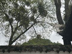 -阳明祠