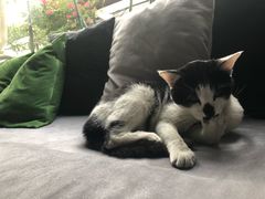 -虚荣精酿酒屋(五羊店)